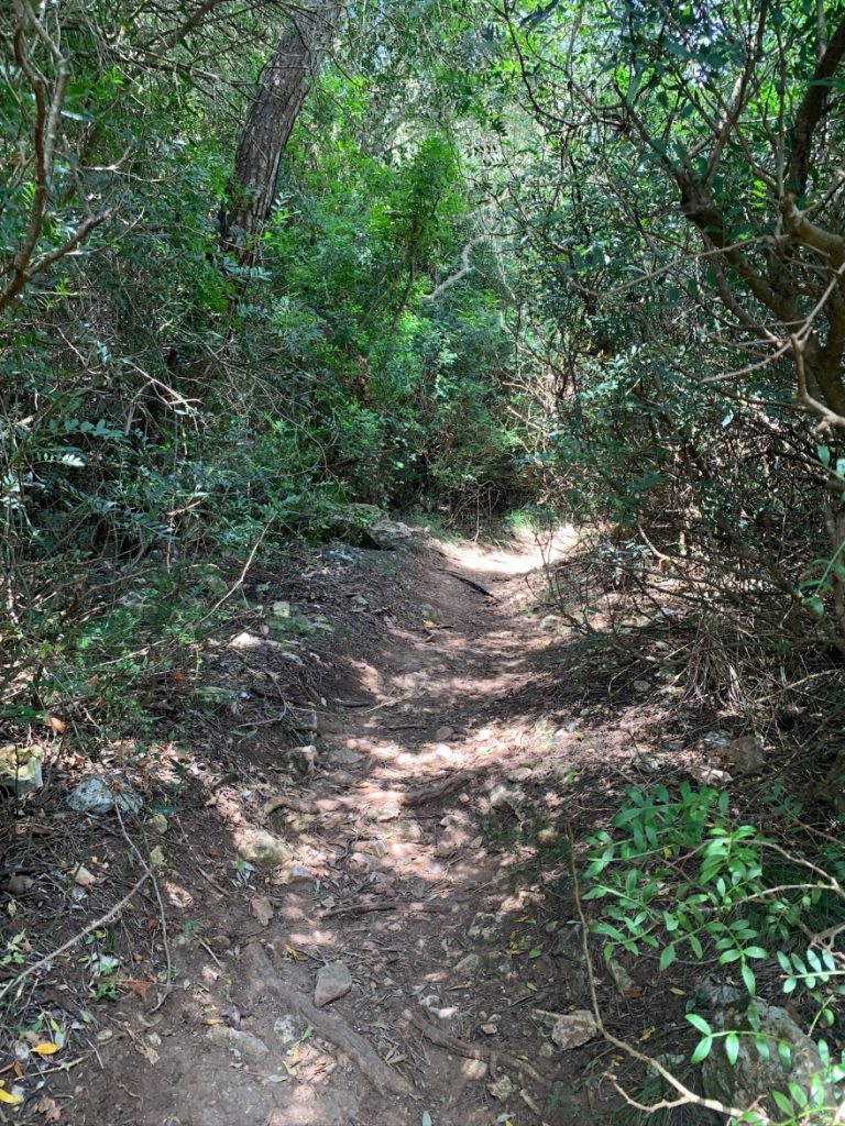 Wandern auf Mallorca Von der Cala Almunia zu Calo des Marmols 26