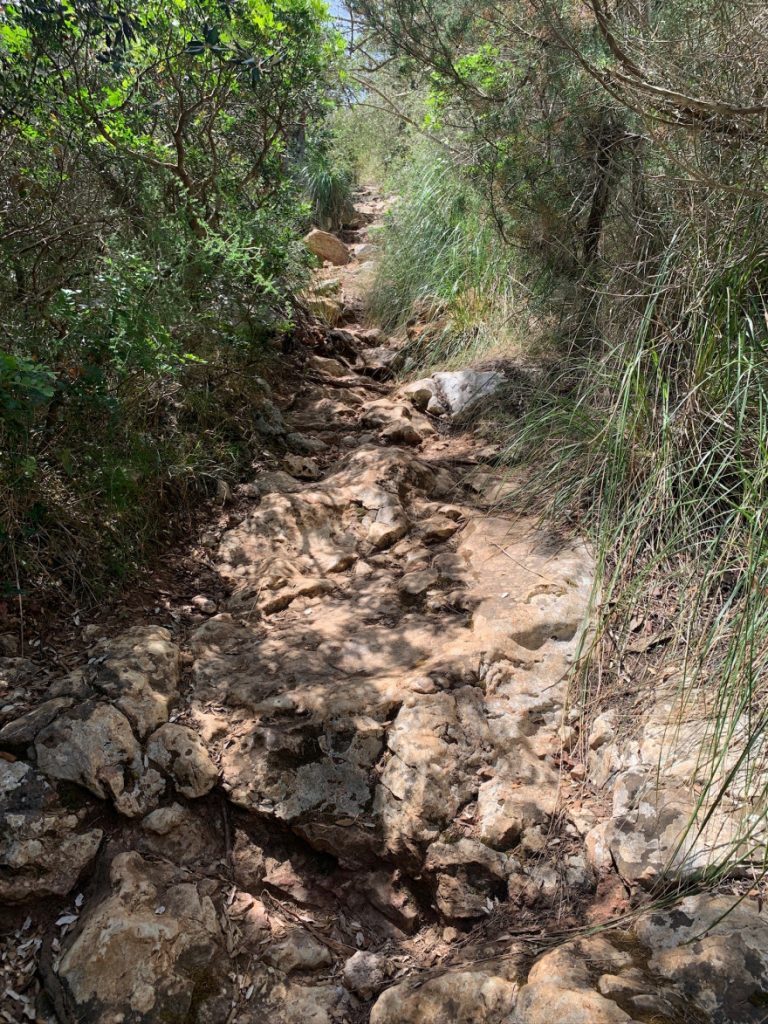 Wandern auf Mallorca Von der Cala Almunia zu Calo des Marmols 27