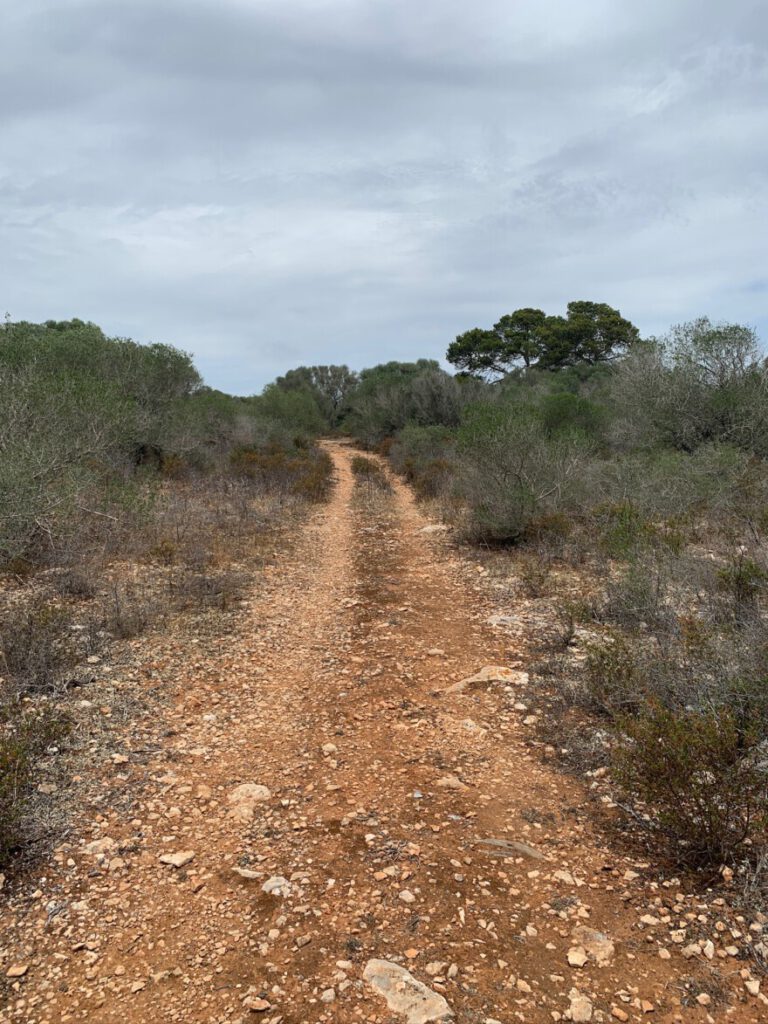 Unterwegs auf der Ebene zwischen Cala S'Almonia und Cala Marmols 7