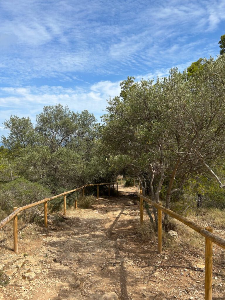 Impressionen vom Wanderweg 1