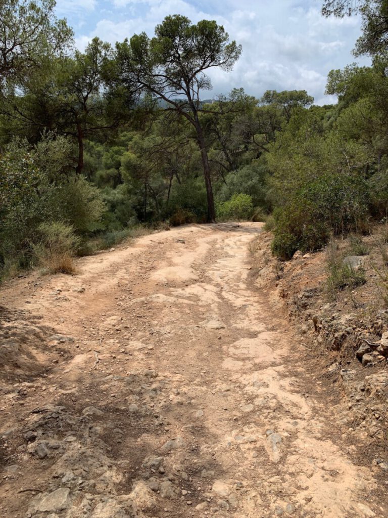 Impressionen vom Wanderweg 11