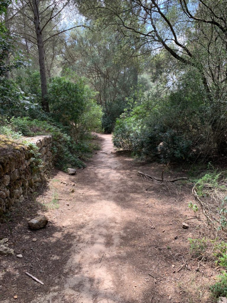 Impressionen vom Wanderweg 7