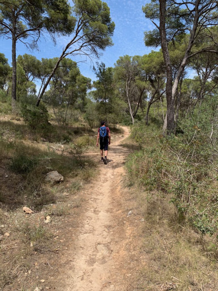 Impressionen vom Wanderweg 8