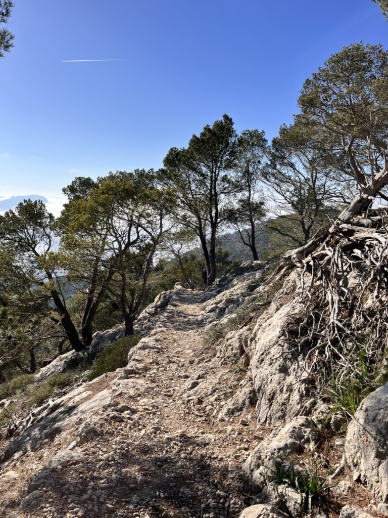 Abstieg vom Caragoli und Aussicht (1)