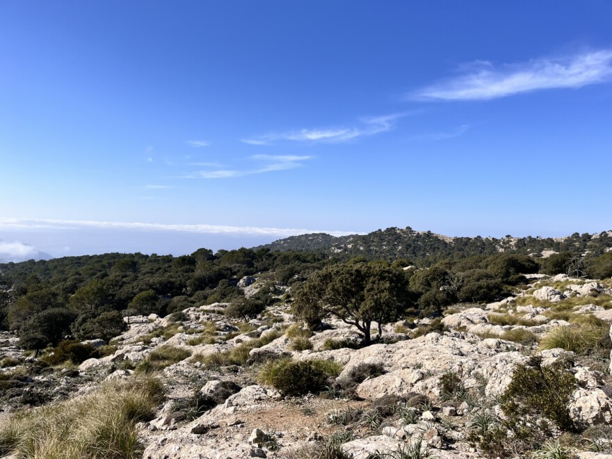 Auf dem Caragoli und Aussicht (1)