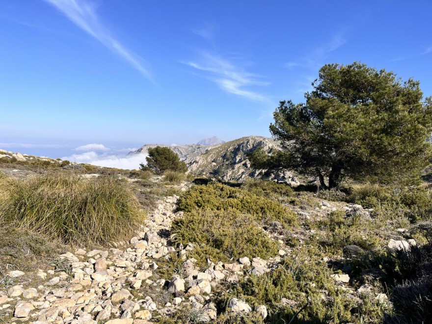 Auf dem Caragoli und Aussicht (10)