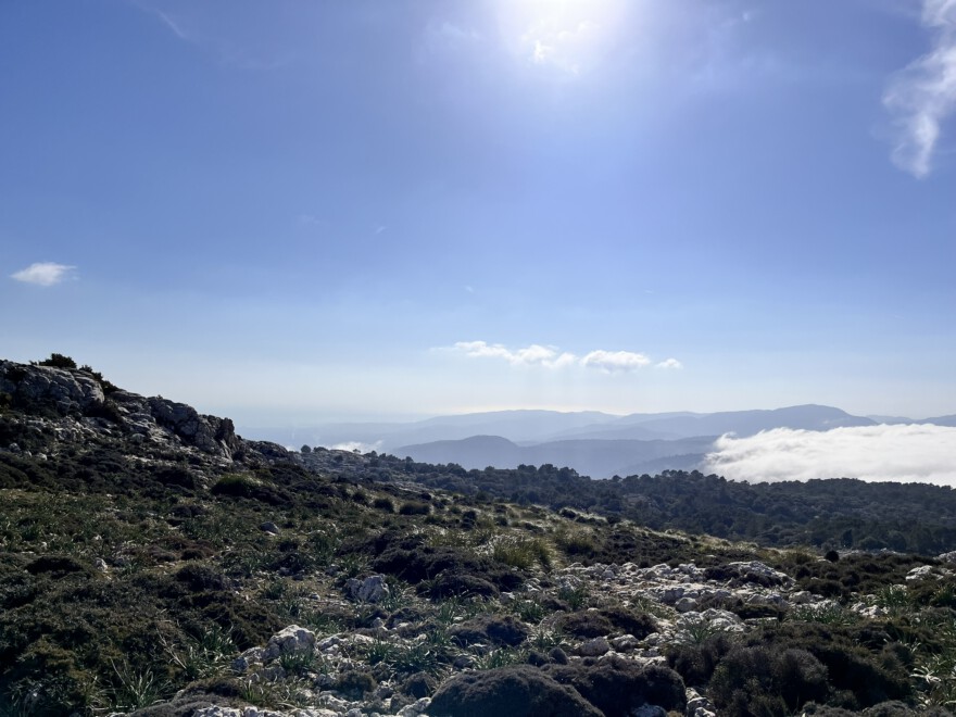 Auf dem Caragoli und Aussicht (19)