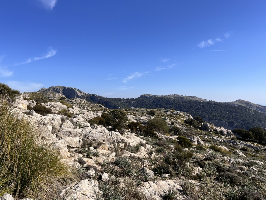 Auf dem Caragoli und Aussicht (5)