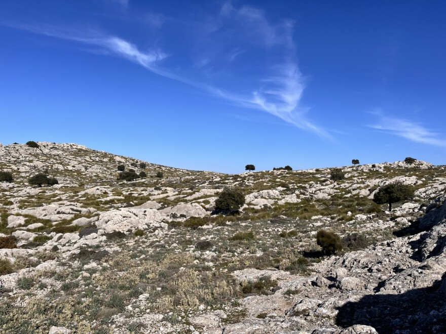 Auf dem Caragoli und Aussicht (8)