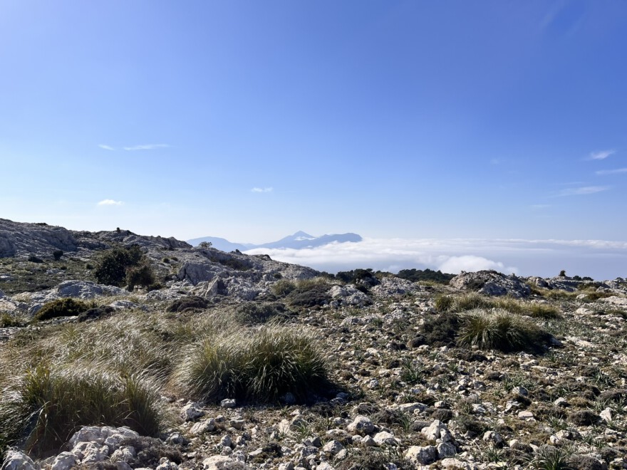 Auf dem Caragoli und Aussicht (9)