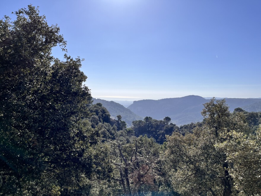 Aufstieg auf den Caragoli und Aussicht auf Valldemossa (12)