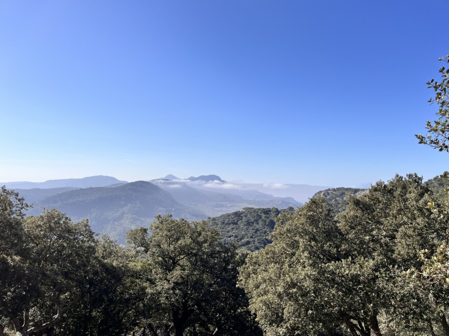 Aufstieg auf den Caragoli und Aussicht auf Valldemossa (14)