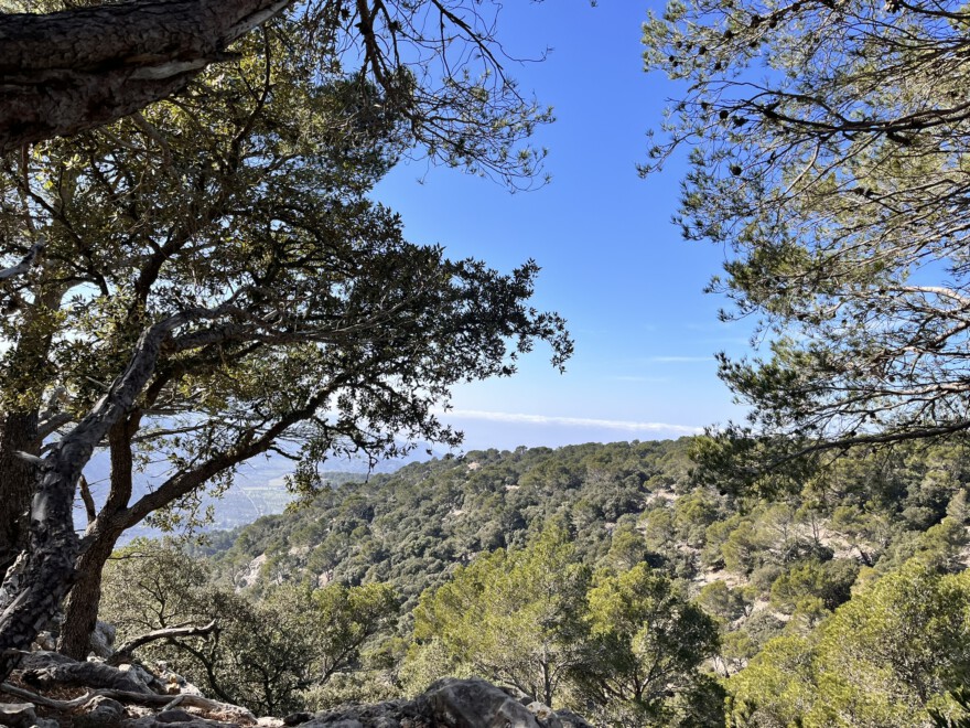 Aufstieg auf den Caragoli und Aussicht auf Valldemossa (17)