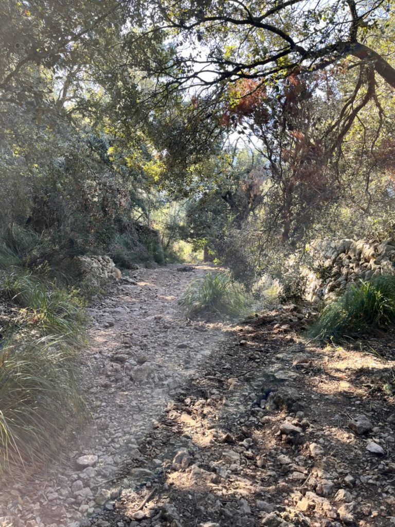 Aufstieg auf den Caragoli und Aussicht auf Valldemossa (2)