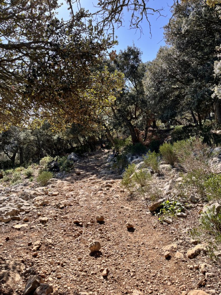 Aufstieg auf den Caragoli und Aussicht auf Valldemossa (6)